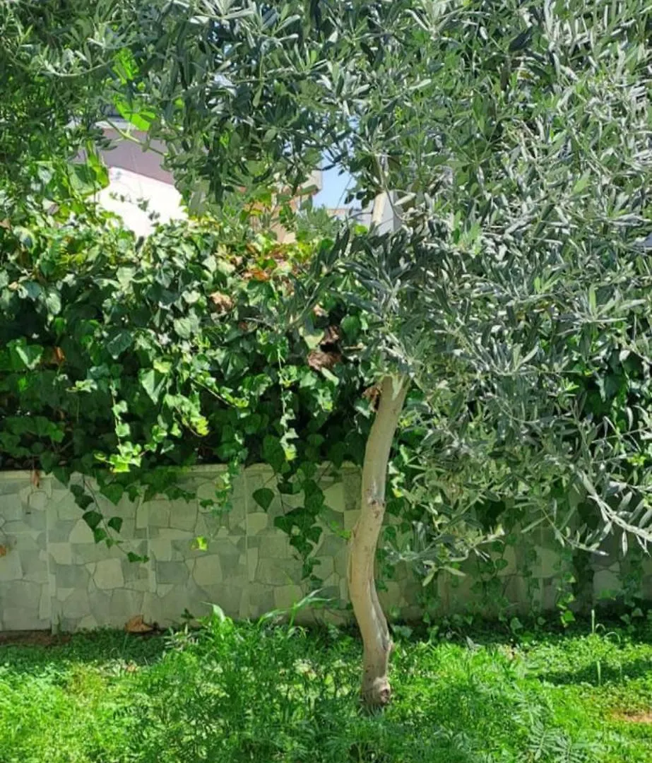 Holiday home Your Home In Kusadasi
