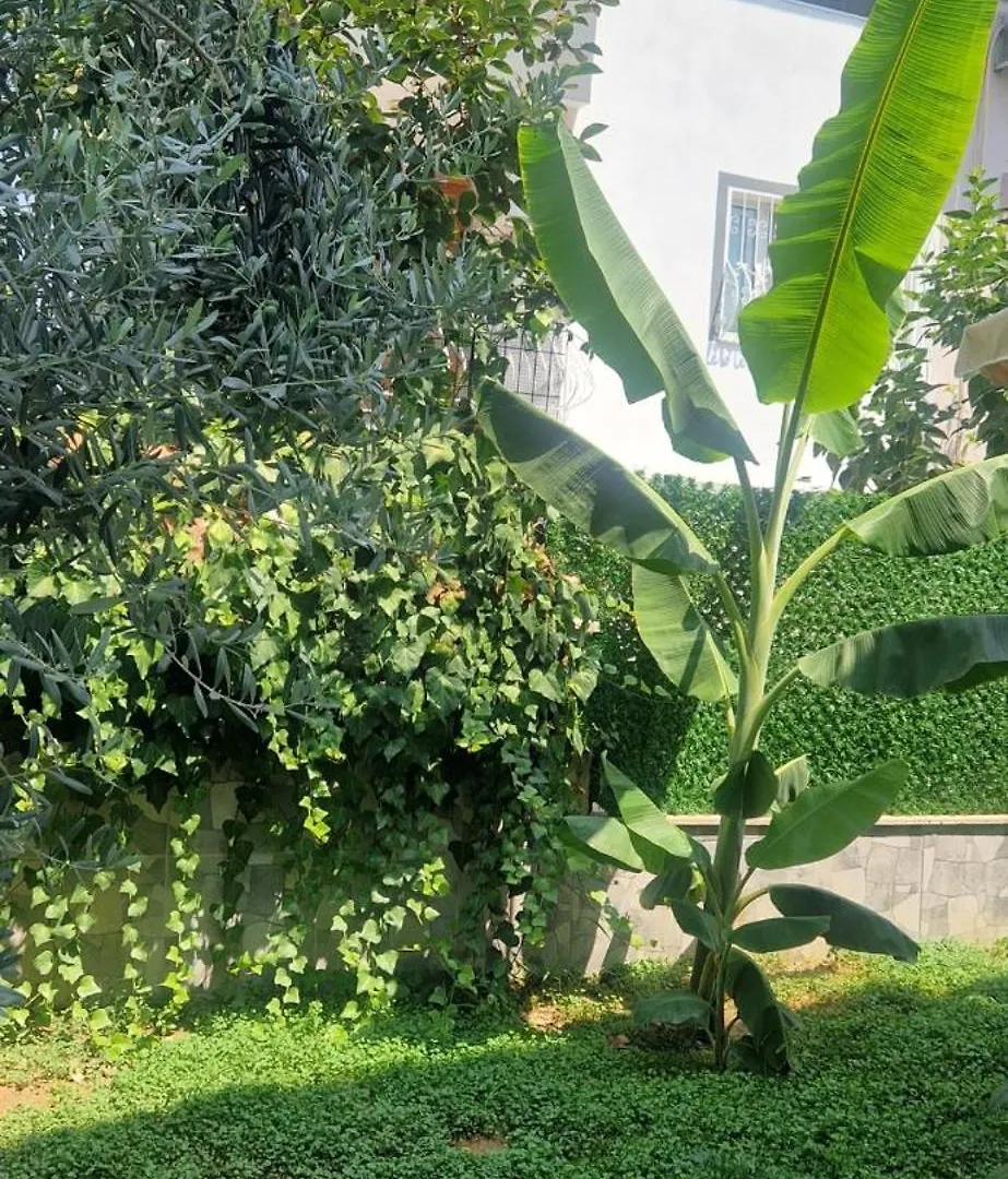 Your Home In Kusadası